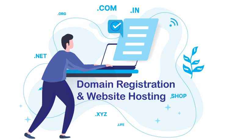 domain & web hosting